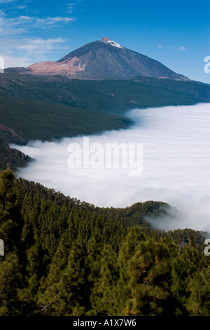 Il monte Teide e il mare di nubi Tenerife Canarie Spagna Foto Stock