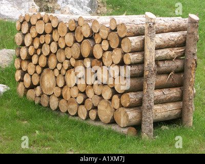 mucchio di legno Foto Stock