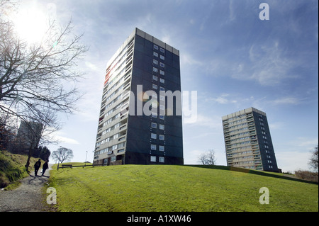 Consiglio appartamenti in Druids Heath area di Birmingham nel Regno Unito Foto Stock