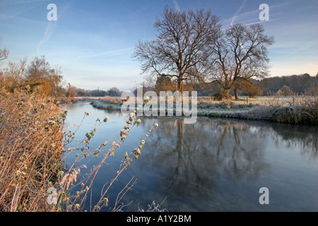 Gelido inverno mattina accanto al fiume Itchen, Winchester, Hampshire, Inghilterra Foto Stock