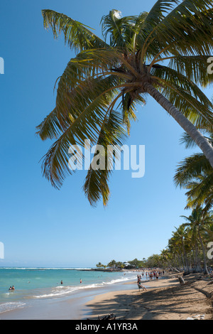 Spiaggia di Playa Dorada, San Felipe de Puerto Plata, costa Nord, Repubblica Dominicana, dei Caraibi Foto Stock