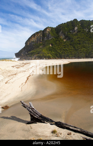 Kohaihai Foce Heaphy via Kahurangi National Park West Coast Isola del Sud della Nuova Zelanda Foto Stock