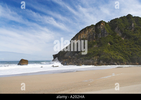 Spiaggia a Kohaihai Foce Heaphy via Kahurangi National Park West Coast Isola del Sud della Nuova Zelanda Foto Stock