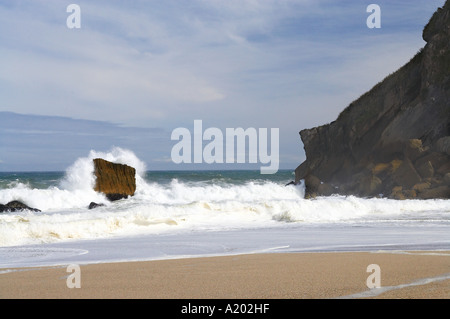 Spiaggia a Kohaihai Foce Heaphy via Kahurangi National Park West Coast Isola del Sud della Nuova Zelanda Foto Stock