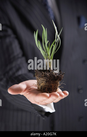 Imprenditore tenendo un impianto senza pot, metà sezione Foto Stock