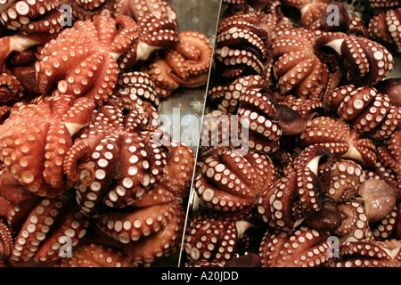 Il polpo in vendita in una fase di stallo nel mercato del pesce Tsukiji, i mondi più grande pesce ogni giorno di mercato, Tokyo, Giappone Foto Stock