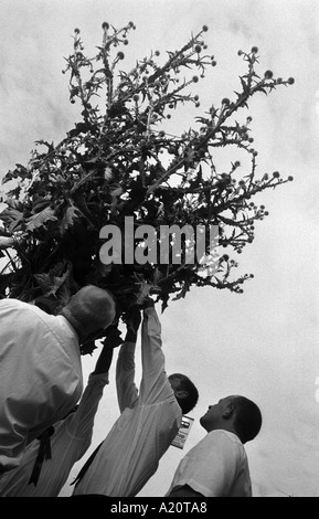 Gli uomini preparare una grande thistle pianta per essere trasportato come un emblema della città Langholm durante il comune settimana di equitazione, Scozia. Foto Stock