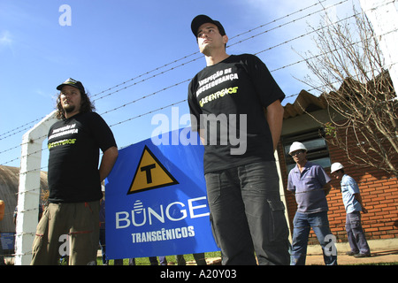 Gli attivisti di Greenpeace dimostrare contro l'uso di gentically soia modificata, utilizzato da Bunge compnay, Brasile. Foto Stock