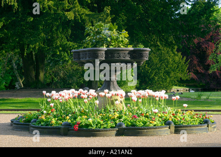 Il Pavilion Gardens nel centro di Buxton nel distretto di Peak Derbyshire England Regno Unito Foto Stock