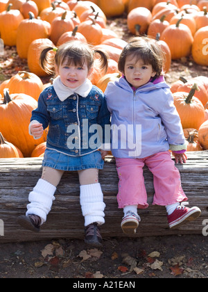 Le ragazze in seduta Zucca Patch Foto Stock