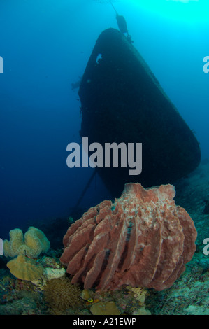 Autun tonno scopo relitto affondato Nuova Bretagna Papua Nuova Guinea Foto Stock