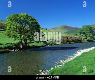 GB SCOZIA FRONTIERE TWEEDDALE superiore fiume Tweed VICINO A DRUMELZIER Foto Stock