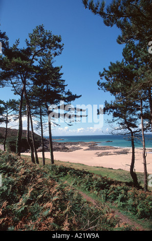 La spiaggia di Plage de Guen su Cap d'Erquy del nord della Bretagna, Francia Foto Stock