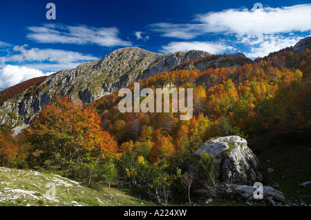 Colori autunnali in Val Risione nr Civitella Alfedena Parco Nazionale d'Abruzzo Abruzzo Italia NR Foto Stock