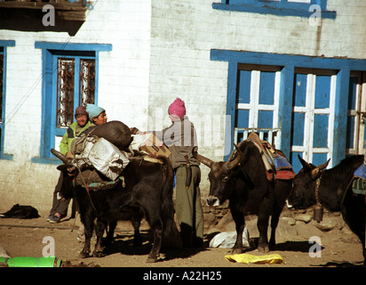 Il Nepal 2005 Lukla il villaggio di Lukla agisce come un gateway per le alte montagne himalayane 7 giorni a piedi dalla strada più vicina Foto Stock