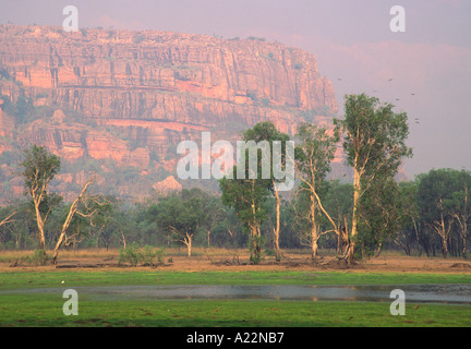 Anbangbang Billabong, Kakadu National Park, Australia Foto Stock