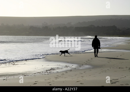 Un uomo e il suo cane prendere un pomeriggio passeggiata sulla spiaggia Studland Dorset Inghilterra Foto Stock