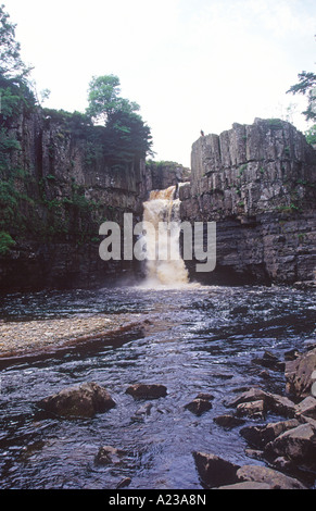 Forza elevata in cascata Fiume Tees northern Pennines Inghilterra Foto Stock