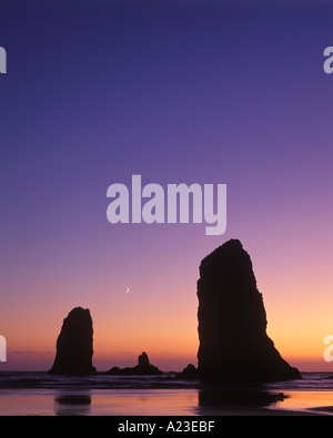Gli aghi e la luna nuova al crepuscolo Cannon Beach Oregon USA Foto Stock
