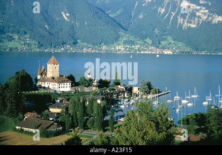 Spiez sulla sponda meridionale del lago di Thun Foto Stock