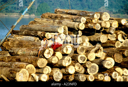 Burma Teak logs impilati su enormi zattere per il trasporto verso il basso fiume Irrawaddy alle segherie a Mandalay Foto Stock