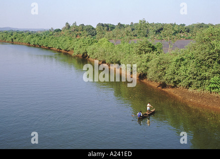 I pescatori pesca fiume Mandovi. Panaji , Goa Foto Stock