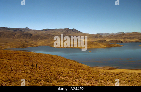 Vista del deserto alto lago di Arequipa area del Perù Foto Stock