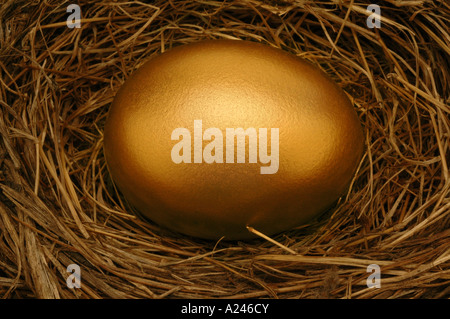 Golden Nest Egg un nido contenente un uovo di oro può simboleggiare la sicurezza finanziaria Foto Stock