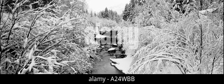 Vista panoramica invernale sul fiume alberato coperto di neve Foto Stock