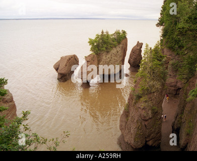 La bassa marea presso la Baia di Fundy Nova Scotia Canada Foto Stock