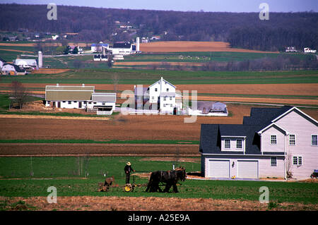 L'AGRICOLTORE AMISH campo di aratura Foto Stock