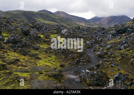 Percorso attraverso il paesaggio di ossidiana, Islanda, Landmannalaugar Foto Stock