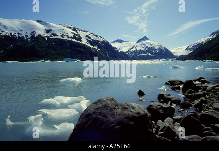 Portage il lago con gli iceberg in Alaska Foto Stock