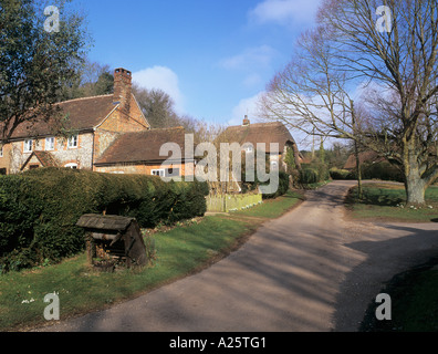 FLINT e cottage con il tetto di paglia accanto al villaggio verde. Scivolo Cadley Wiltshire, Inghilterra REGNO UNITO Foto Stock