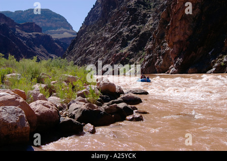 Rafters brave CRYSTAL rapida una classe 9 con un 17 foot drop a mile 98 lungo il Fiume Colorado e il GRAND CANYON ARIZONA Foto Stock