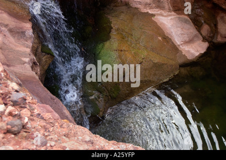 Arco Reale CREEK conduce alla voragine elfi a mile 117 lungo il Fiume Colorado GRAND CANYON ARIZONA Foto Stock