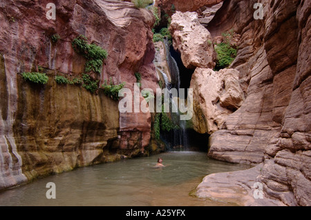 Gli escursionisti visitare ROYAL ARCH CREEK e elfi CHASM una magica cascata a mile 117 lungo il Fiume Colorado GRAND CANYON ARIZONA Foto Stock