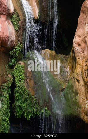 Arco Reale Creek e elfi CHASM una magica cascata a mile 117 lungo il Fiume Colorado GRAND CANYON ARIZONA Foto Stock