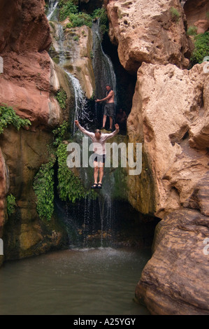 Gli escursionisti nuotare in arco reale Creek presso gli elfi CHASM una magica cascata a mile 117 lungo il Fiume Colorado GRAND CANYON ARIZONA Foto Stock