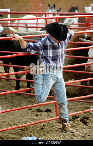 I cowboys rilassarsi prima di partecipare a un evento di rodeo Foto Stock