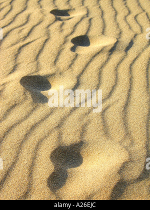 Orme nella sabbia in una spiaggia che conduce all'orizzonte Foto Stock