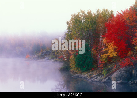 La riva del lago di Simon nella nebbia mattutina con aceri e betulle nel picco Colore di autunno, maggiore Sudbury, Ontario, Canada Foto Stock