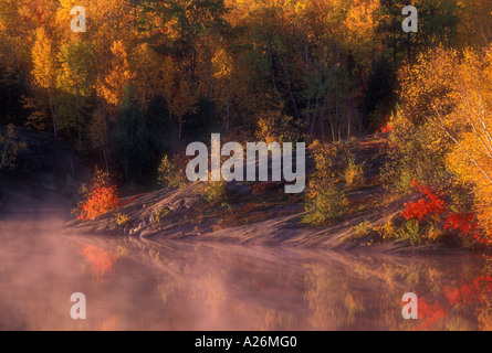 Acero arancione su rocky point di Simone lago a sunrise maggiore Sudbury, Ontario Foto Stock