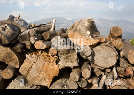 Pila di registro con le montagne sullo sfondo Foto Stock