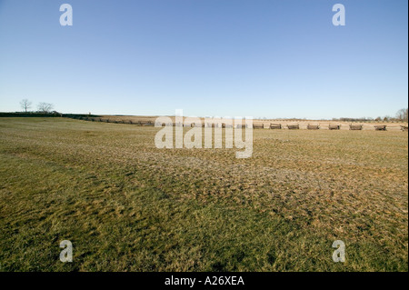 Split cancellata attraversa cornfield dove migliaia di soldati morti al campo di battaglia di Antietam Sharpsburg Maryland Foto Stock