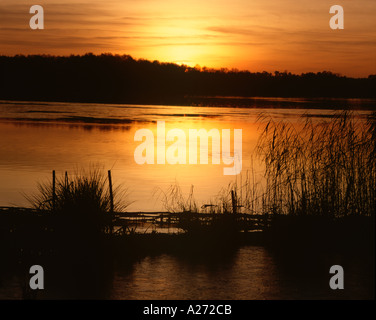 Tramonto a Frensham Ponds Surrey in Inghilterra UK Gran Bretagna Europa Regno Unito Foto Stock