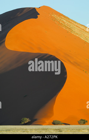 Dune nella prima luce Namibdesert Namibia Afrika Foto Stock