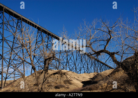 Elevato livello treno ponte sopra il vecchio uomo nel fiume Lethbridge Alberta in inizio inverno evento storico in Alberta Canada Foto Stock