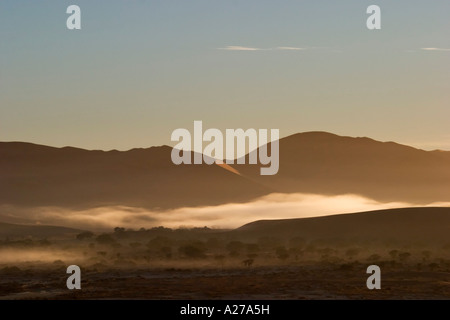 La nebbia dall'oceano atlantico () tra le dune rosse. Sossusvlei, Namib Desert, Namibia Foto Stock