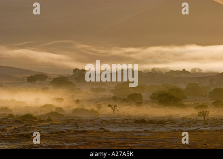 La nebbia dall'oceano atlantico () tra le dune rosse. Sossusvlei, Namibia Foto Stock